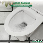 Double drainage One-Piece Toilet - Image 6