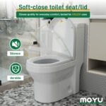 Designer Floor Outlet Toilet - Image 7