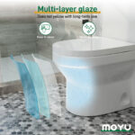 Designer Floor Outlet Toilet - Image 8