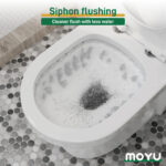 Designer Floor Outlet Toilet - Image 6